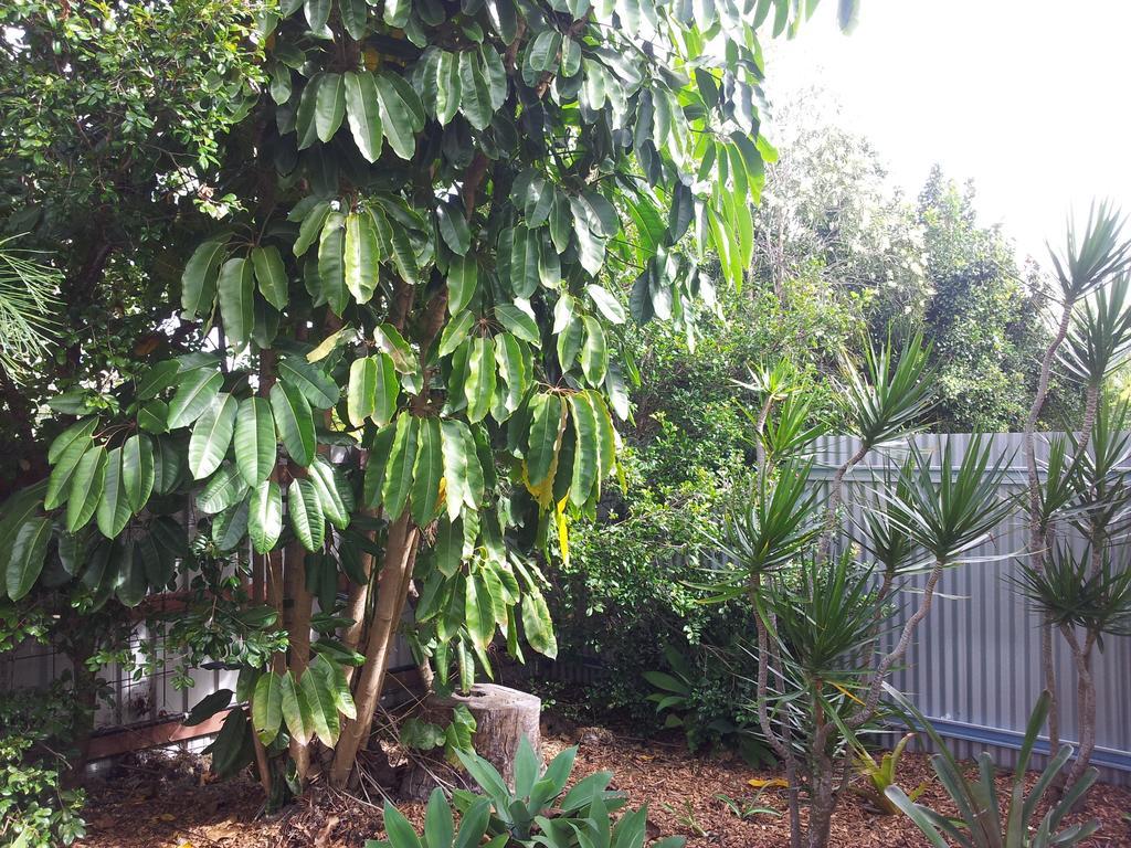 Bluegrass Bnb Bundaberg Bagian luar foto